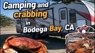 Camping and Crabbing in Bodega Bay, CA! 