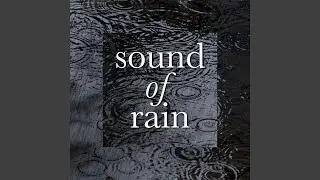 Rain Aftermath