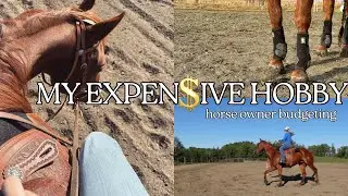 Budgeting for Horses in 2026
