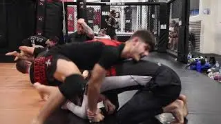 BJJ Grading Prep | Extreme MMA