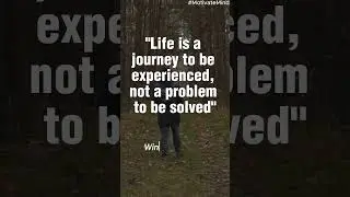 Best Quotes from Winnie the Pooh