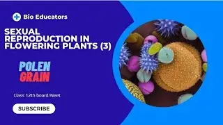 SEXUAL REPRODUCTION IN FLOWERING PLANTS. (3) 12th Neet//Boards.//Pollen Grain #bioeducators