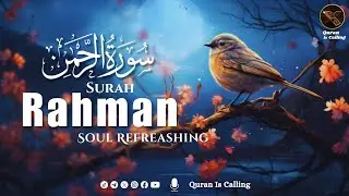 Surah Rahman (Ar-Rahman) سورة الرحمن | Deep Sleep Healing Heart Touching Quran Recitation
