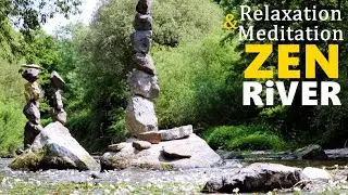Dragonflies Visit the Zen River | ASMR | Natural Sounds