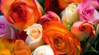 Cheap Flowers Free Delivery