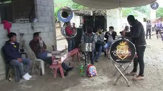 LIVE SERENADE BAND