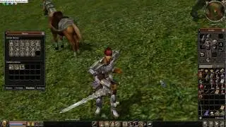 Metin2 Krieger Otm ( Orktal Mitte)