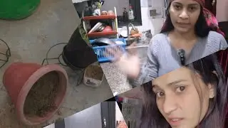 Subah Ki Chai Se Bandar Ka Attack 😱 | Daily Morning Routine Vlog | Terrace Garden Destroyed |