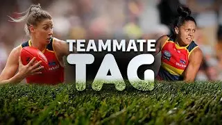 Teammate Tag: Thompson & Varnhagen