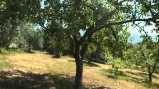 cantalupo, la vera casa di campagna