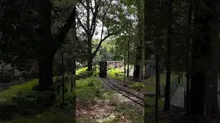 Cubbon Park || Toy Train Ride || Things to do in Bengaluru || Bal Bhavan