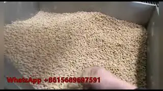 Puffed Extruded Wheat Bran Extruder Machinery Equipment Line Manufacturer Supplier Made in China