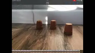 Guess witch cup it&rsquo;s in
