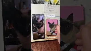 Custom cat portrait by photo. Pet memorial, painting process videos dogs and cats