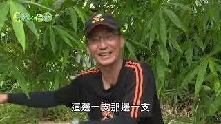 【屏東潮州】公務生涯告一段落 陳景行推廣無毒甜龍筍｜有機無毒｜238｜#美麗心台灣
