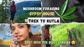 Trek to Kutla in Himachal |  Untouched Beauty| Himachal | Kalga | 4K
