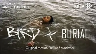 Bird Theme | Bird (2024) Original Motion Picture Soundtrack by Burial  [5.1 Surround Sound]