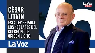CÉSAR LITVIN y todo LO QUE HAY QUE SABER sobre los alcances de la LEY DE INOCENCIA FISCAL