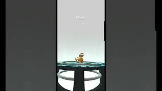 XXS Bidoof Evolves into... #Bibarel #pokemon #pokemongo #tiny #tinypokemon #beaver #Lord #godpokemon