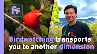 &ldquo;In a Tech-Driven World, Birdwatching Transports You to Another Dimension&rdquo; - Javier Cajiao