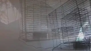 voorstudie Biennale