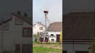 Firefighters Destroy a Stork&rsquo;s Nest, Heartbreaking Start Leads to an Incredible Ending