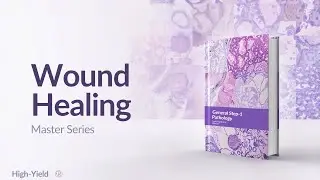 Wound Healing Explained | Inflammation, Granulation & Remodeling