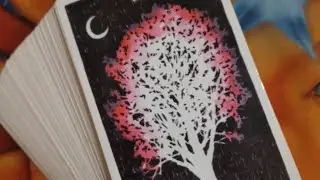 Вам послание от Высших Сил !💯💯💯#таро #tarot #2026 #новости #гадание #ясновидение #ясновидени 