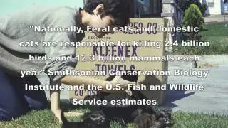 Dry Creek Watershed Salmon Count 2012