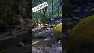 EXPLORANDO M&Eacute;XICO