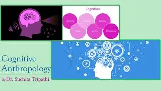 Cognitive Anthropology@AnthropologyInsightsforUPSCNET