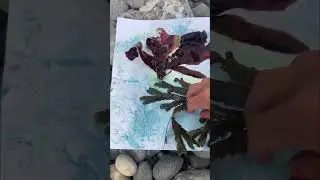 Make a seaside cyanotype with me