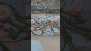 Reb3 zesezr