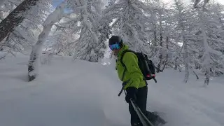 Un peu de poudre aux Arcs