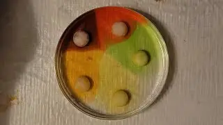 Observing Diffusion with Skittles