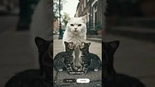 Mother and kittens#Meow #DreamScreenAI#kitten