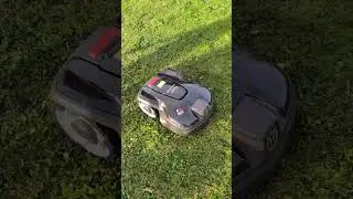 Video #husqvarna #automower #m&auml;hroboter AM 305 bei strahlendem #sonnenschein #installieren mit Kabel