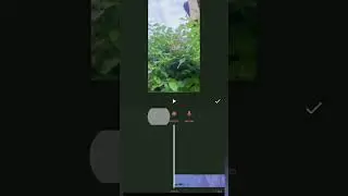 Inshot Video Editing Features #1 | Best video editing apps for Android #shorts