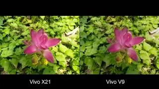 Vivo X21 Vs Vivo V9 Camera Test Comparison