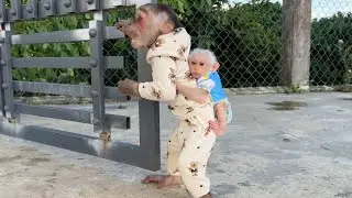 Monkey SinSin Protects SuBi! Sweet Moments Not To Be Missed