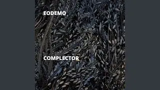 Complexus