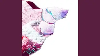 favorite dog