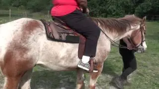 Animal Recovery Farm 12-19-2015 riding a horse for the first time Part 3