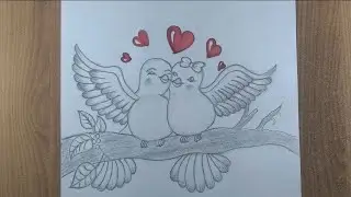 Love birds drawing||Easy Pencil sketch for beginners||