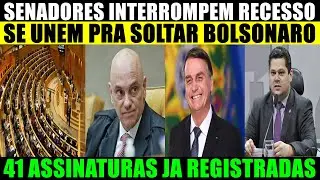 SENADO SE LEVANTA CONTA MORAES E PEDE LIBERTA&Ccedil;&Atilde;O DE BOLSONARO