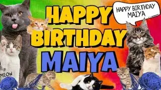 Happy Birthday Maiya! Crazy Cats Say Happy Birthday Maiya (Very Funny)