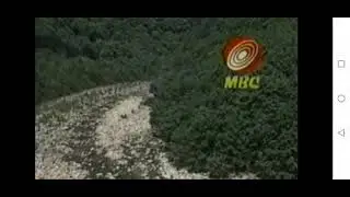 MBC ID 1987