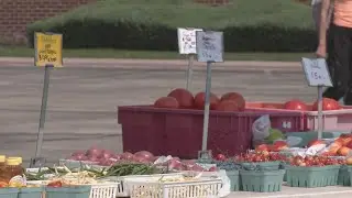 Boone County hosts free wellness and farmer's market