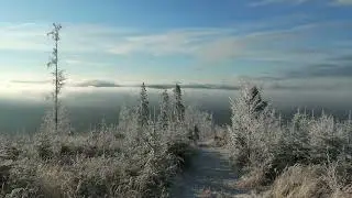 Beskid Żywiecki  Krawców Wierch 1080 m
