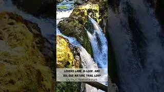 Sol Duc Waterfall - Waterfall splits into 4 Channels Cascades 48 feet into a Narrow, Rocky Canyon